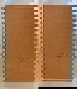 No Kiss for Mother No Kiss for Mother