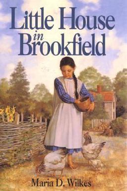 Little House in Brookfield