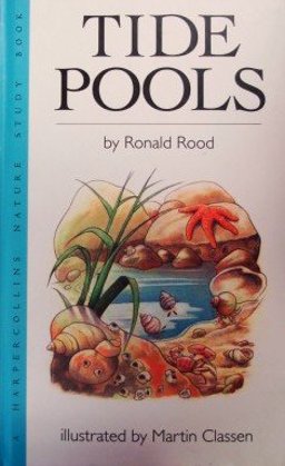 Tide Pools Tide Pools