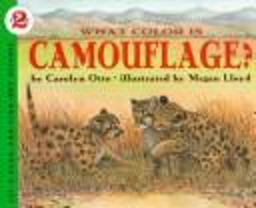 What Color Is Camouflage?