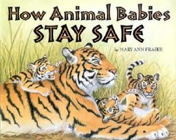 How Animal Babes Stay Safe
