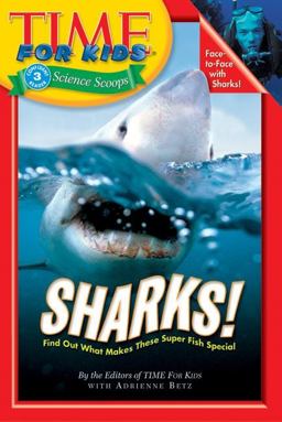 Time for Kids - Sharks!