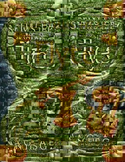 Septimus Heap, Book Two: Flyte  9780060577346 Front Cover