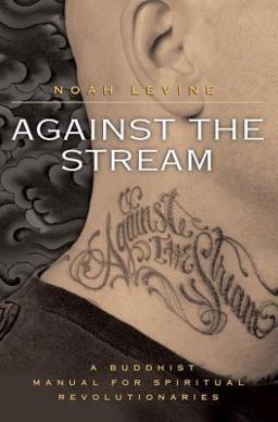 Against the Stream A Buddhist Manual for Spiritual Revolutionaries  9780060736644 Front Cover