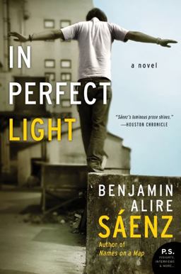 In Perfect Light A Novel  9780060779214 Front Cover