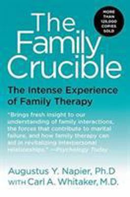 Family Crucible The Intense Experience of Family Therapy  9780060914899 Front Cover
