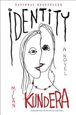 Identity A Novel  9780060930318 Front Cover