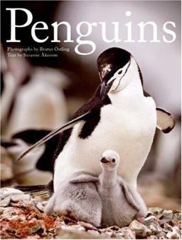 Penguins  9780061198588 Front Cover
