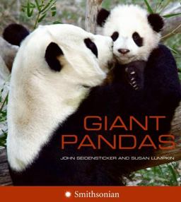 Giant Pandas