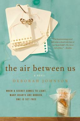 Air Between Us A Novel  9780061255588 Front Cover