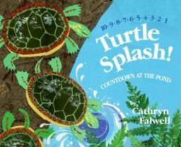 Turtle Splash!