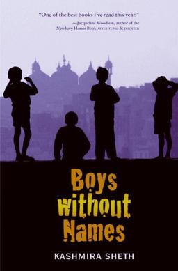 Boys Without Names  9780061857607 Front Cover
