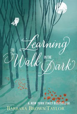 Learning to Walk in the Dark  9780062024343 Front Cover