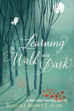 Learning to Walk in the Dark  9780062024350 Front Cover