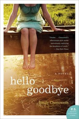 Hello Goodbye A Novel  9780062034601 Front Cover