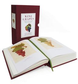 Wine Grapes A Complete Guide to 1,368 Vine Varieties, Including Their Origins and Flavours  9780062206367 Front Cover