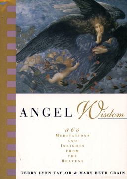 Angel Wisdom 365 Meditations and Insights from the Heavens  9780062510679 Front Cover
