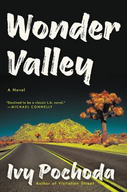 Wonder Valley A Novel  9780062656353 Front Cover