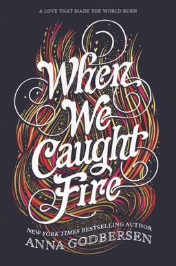 When We Caught Fire  9780062679826 Front Cover