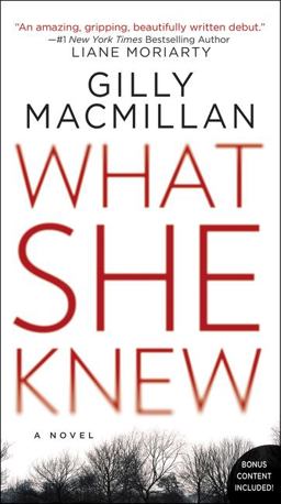 What She Knew A Novel  9780062691002 Front Cover