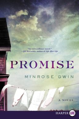 Promise A Novel  9780062791849 Front Cover