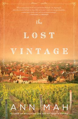 Lost Vintage A Novel  9780062823311 Front Cover