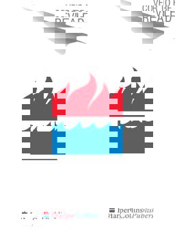 Christmas Bride in Pinecraft