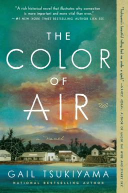 Color of Air A Novel  9780062976208 Front Cover