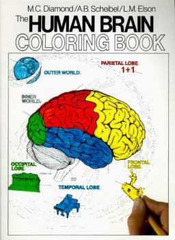 Human Brain Coloring Book  9780064603065 Front Cover
