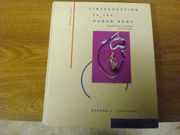 Introduction to the Human Body