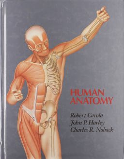 Human Anatomy Human Anatomy