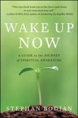 Wake up Now 2nd 9780071742221 Front Cover
