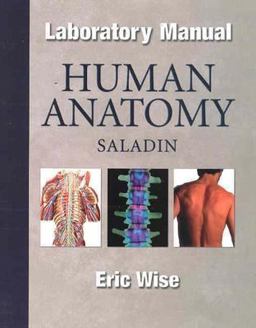 Human Anatomy Human Anatomy