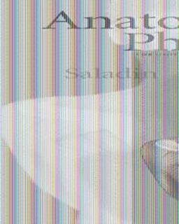 Anatomy and Physiology