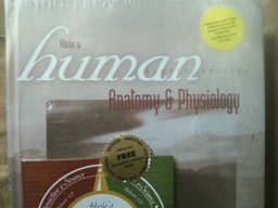 Hole's Human Anatomy and Physiology
