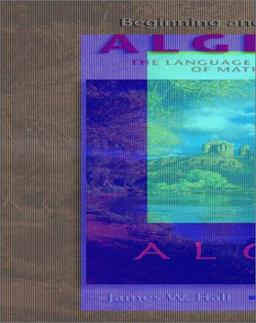 Beginning and Intermediate Algebra