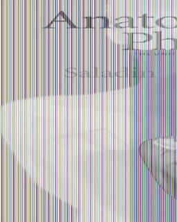 Anatomy and Physiology