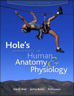 Hole's Essentials of Human Anatomy and Physiology