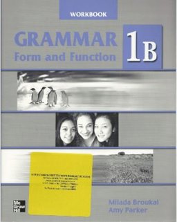 Grammar Form and Function Split Ed 1B WB