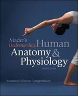 Mader's Understanding Human Anatomy and Physiology 6th 9780073288864 Front Cover