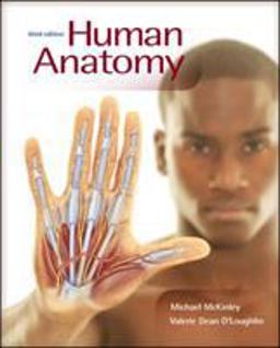 Human Anatomy Human Anatomy