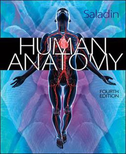 Human Anatomy