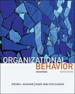 Organizational Behavior 2nd 9780073381220 Front Cover