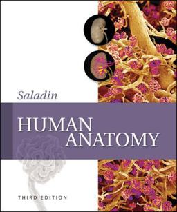 Human Anatomy