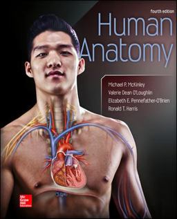 Human Anatomy Human Anatomy