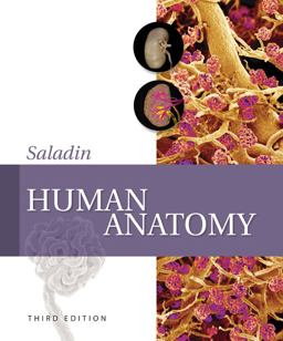 Human Anatomy 3rd 9780077349998 Front Cover
