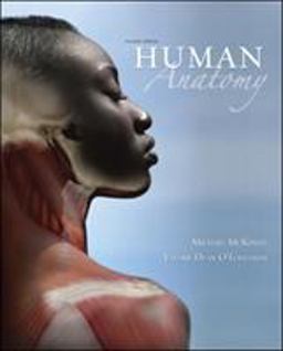 Human Anatomy 2nd 9780077361365 Front Cover