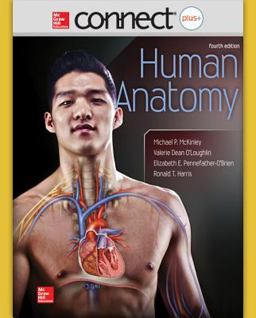 Human Anatomy Human Anatomy