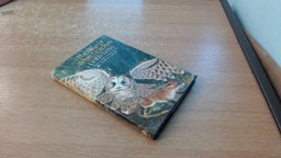 Siege of White Deer Park