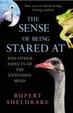 The Sense of Being Stared at  9780099441533 Front Cover